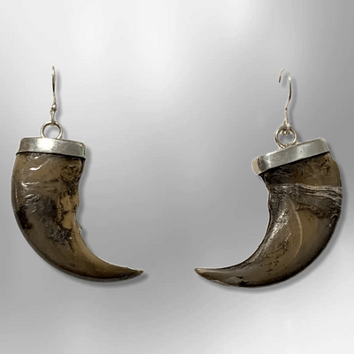 Sterling Silver Handmade Genuine Bear Claw Hook Dangle Earrings